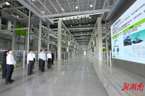 毛偉明開展中央巡視反饋意見整改工作專題調研 企業管理咨詢驅動整改落實，凝心聚力克難攻堅